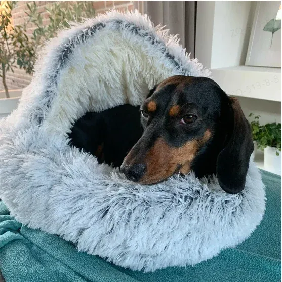 Pet Products collection